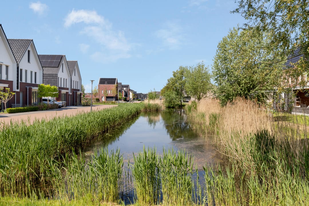 Foto 52 van Berkenpad 3