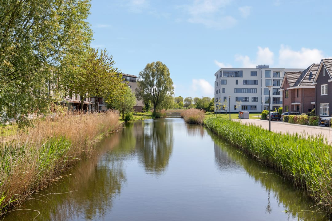 Foto 53 van Berkenpad 3