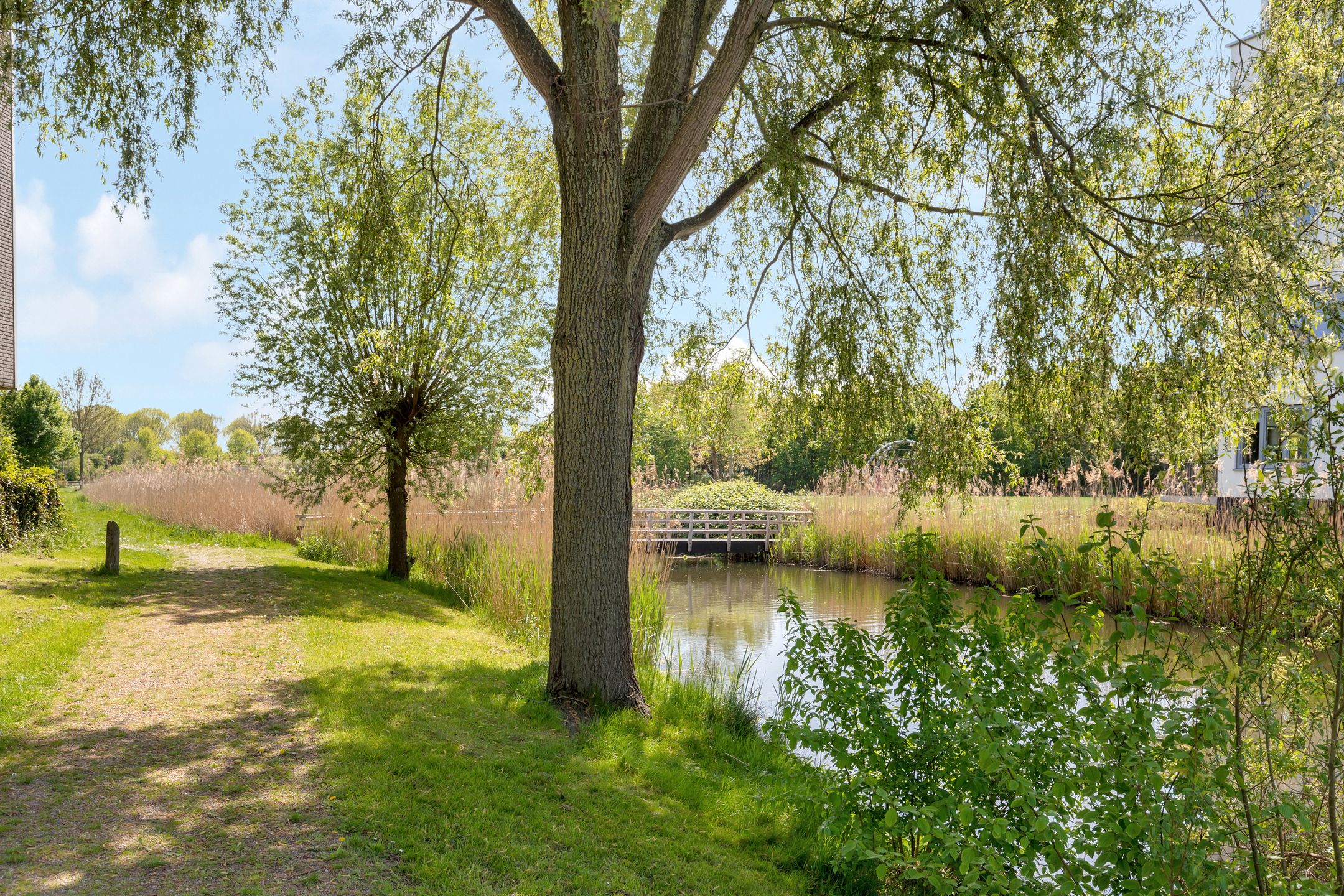 Foto 54 van Berkenpad 3