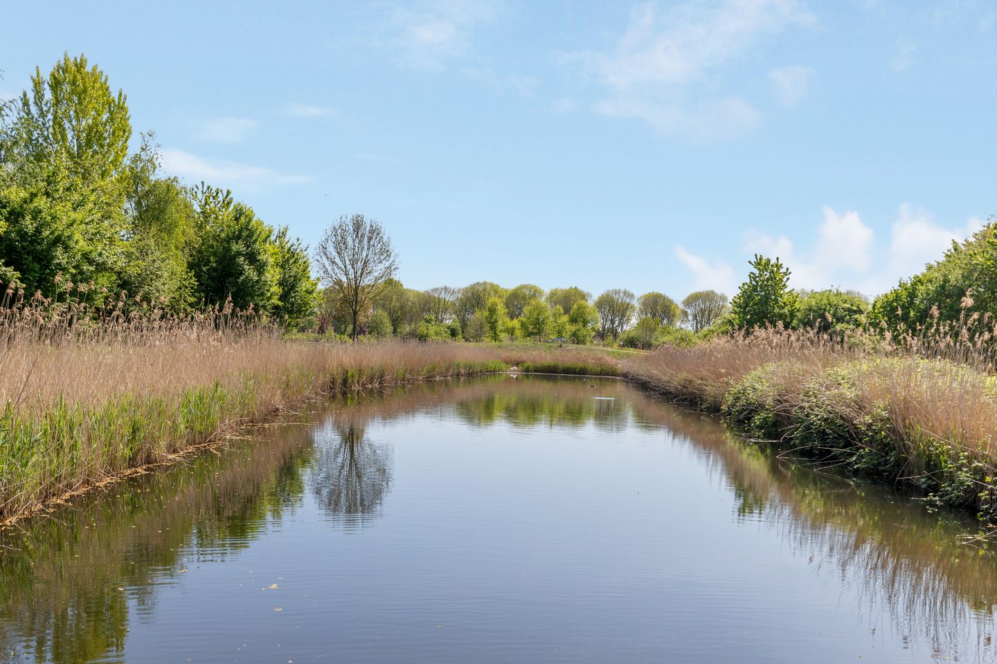 Foto 55 van Berkenpad 3