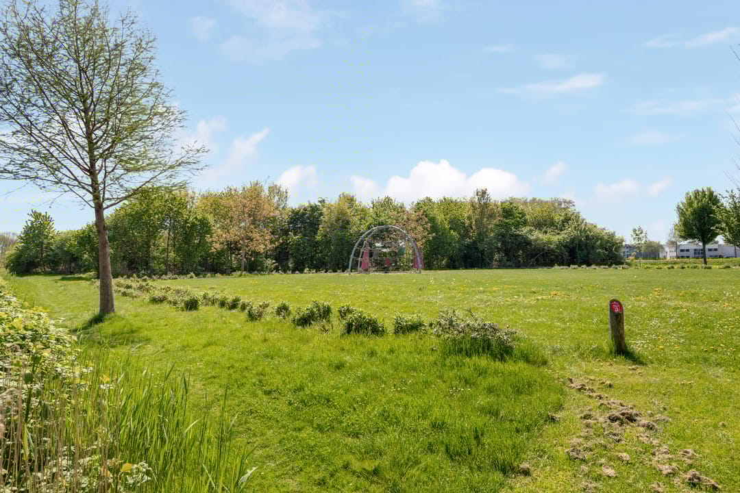 Foto 56 van Berkenpad 3