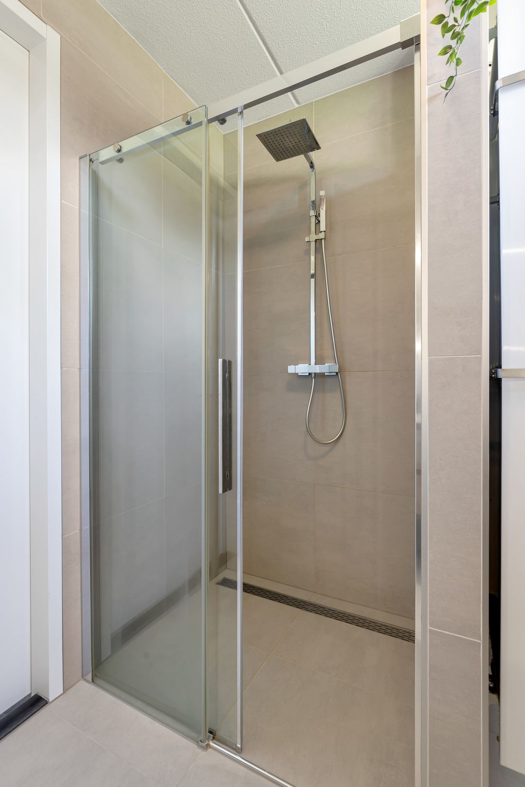 Foto 32 van Berkenpad 3