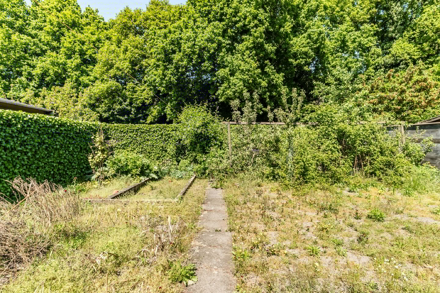 Photo 25 of Nerhovensestraat 31