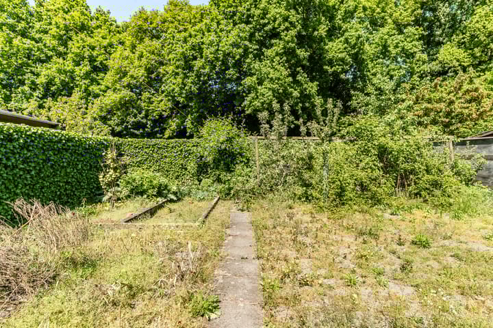 Foto 25 van Nerhovensestraat 31