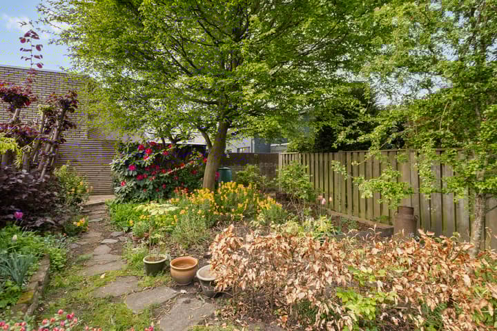 Foto 34 van Zeelsterstraat 199