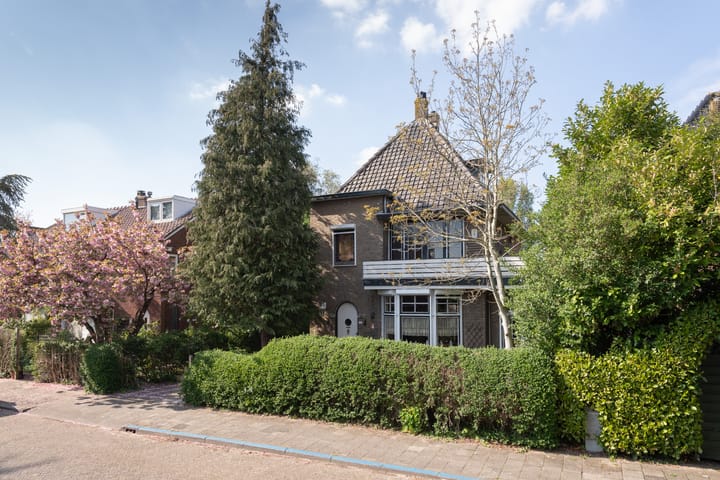 Photo 21 of Wilhelminastraat 8