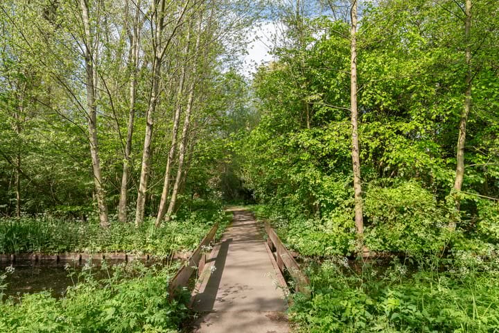 Foto 43 van Robijnstraat 30-A