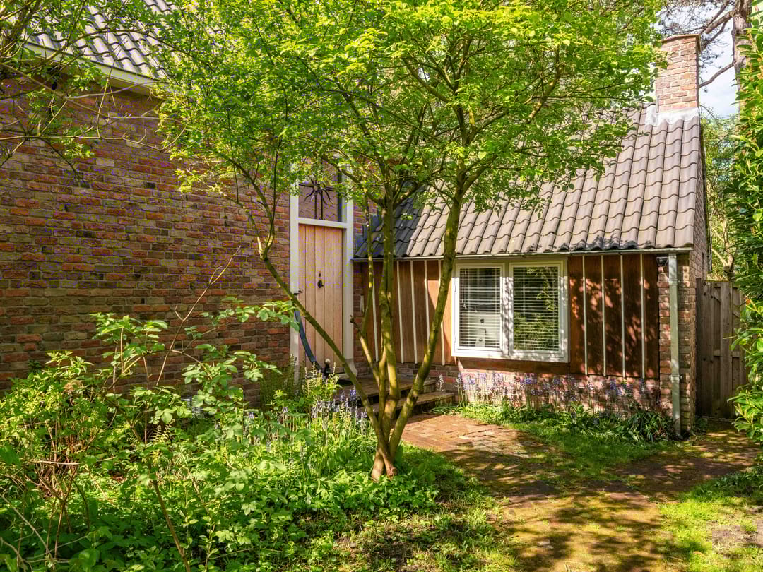 Foto 58 van Van Borselenlaan 13