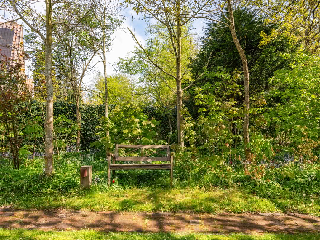 Foto 62 van Van Borselenlaan 13