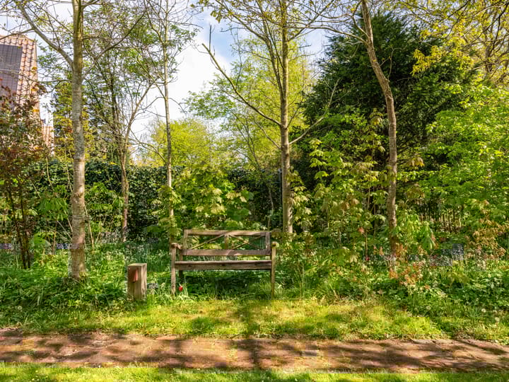 Foto 62 van Van Borselenlaan 13