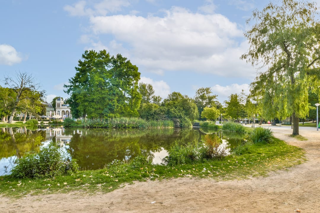 Foto 26 van Nicolaas Maesstraat 112-3