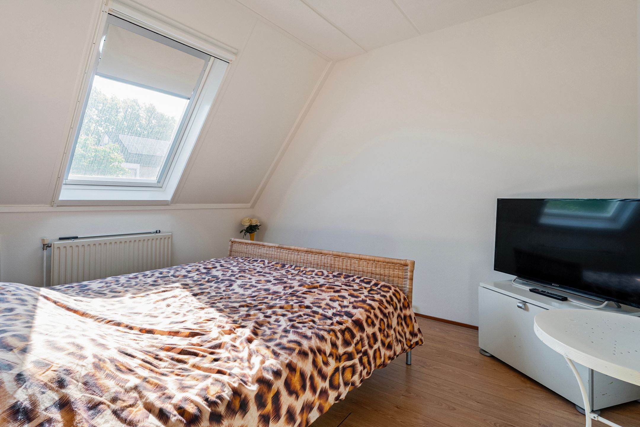 Foto 12 van Sangerland 48