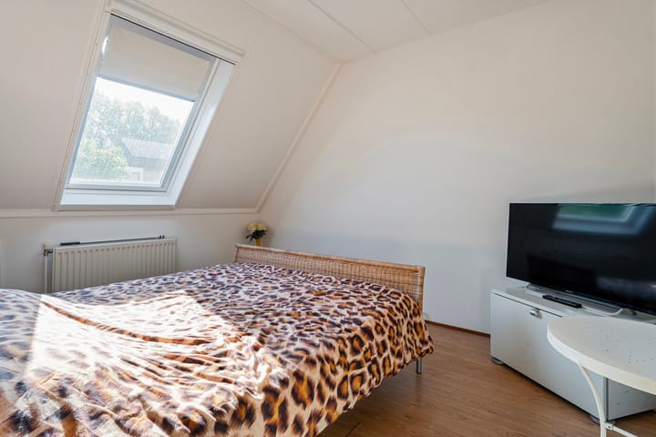 Foto 12 van Sangerland 48