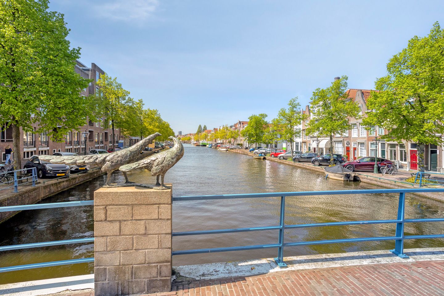 Photo 5 of Pelikaanstraat 10