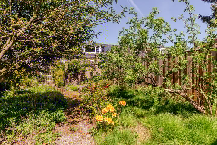 Foto 25 van Hanengewei 33