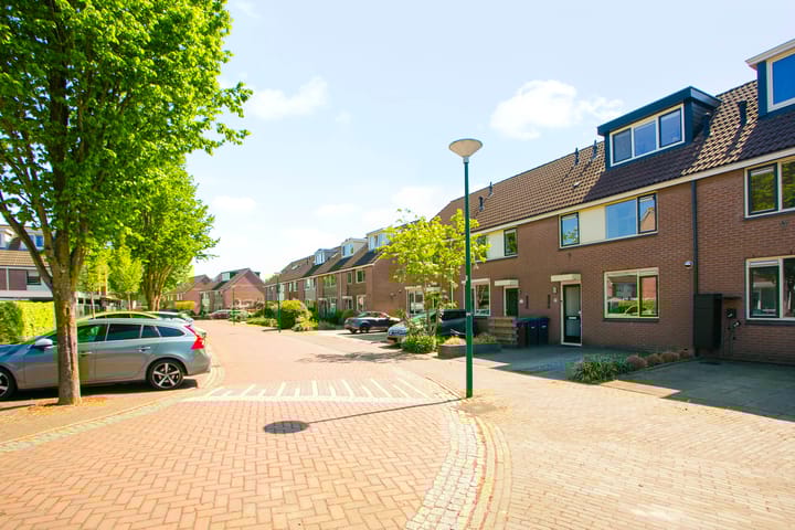 Photo 31 of Fluitekruid 25