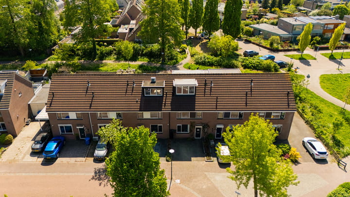 Photo 32 of Fluitekruid 25