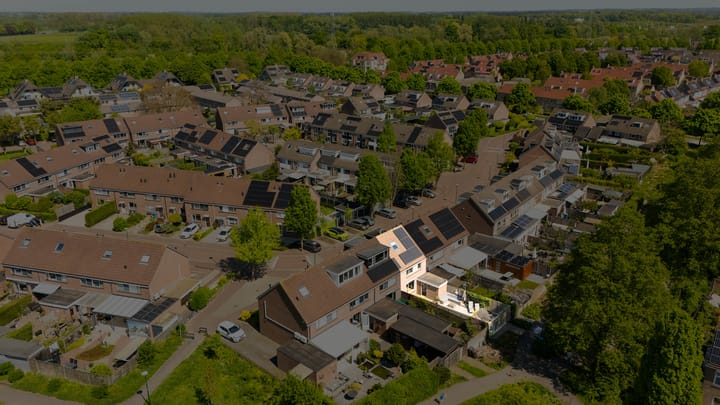 Photo 35 of Fluitekruid 25