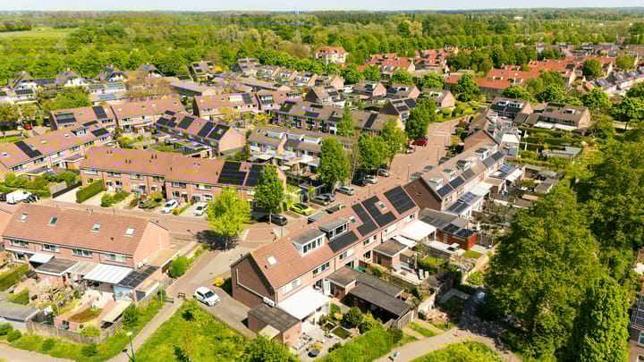 Photo 36 of Fluitekruid 25