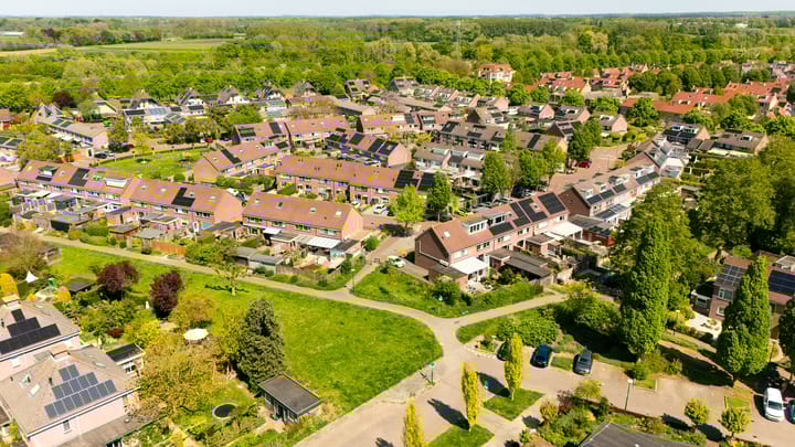 Photo 37 of Fluitekruid 25