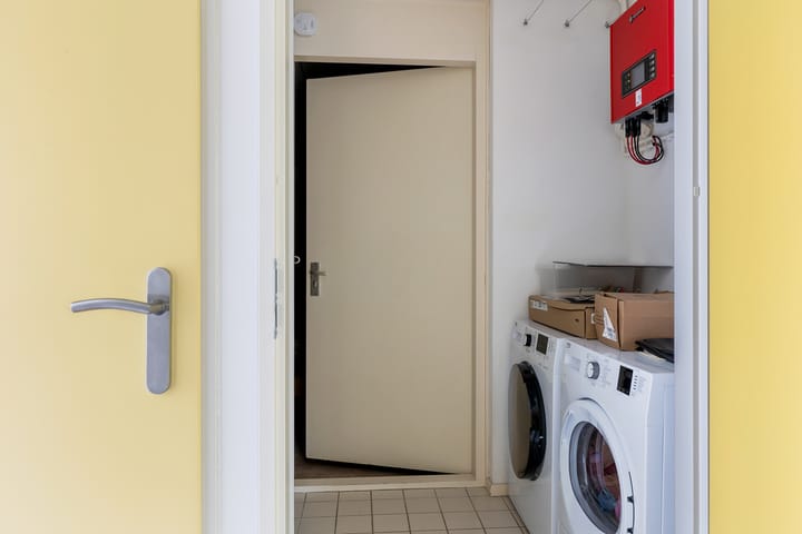 Foto 22 van Swanneblom 8