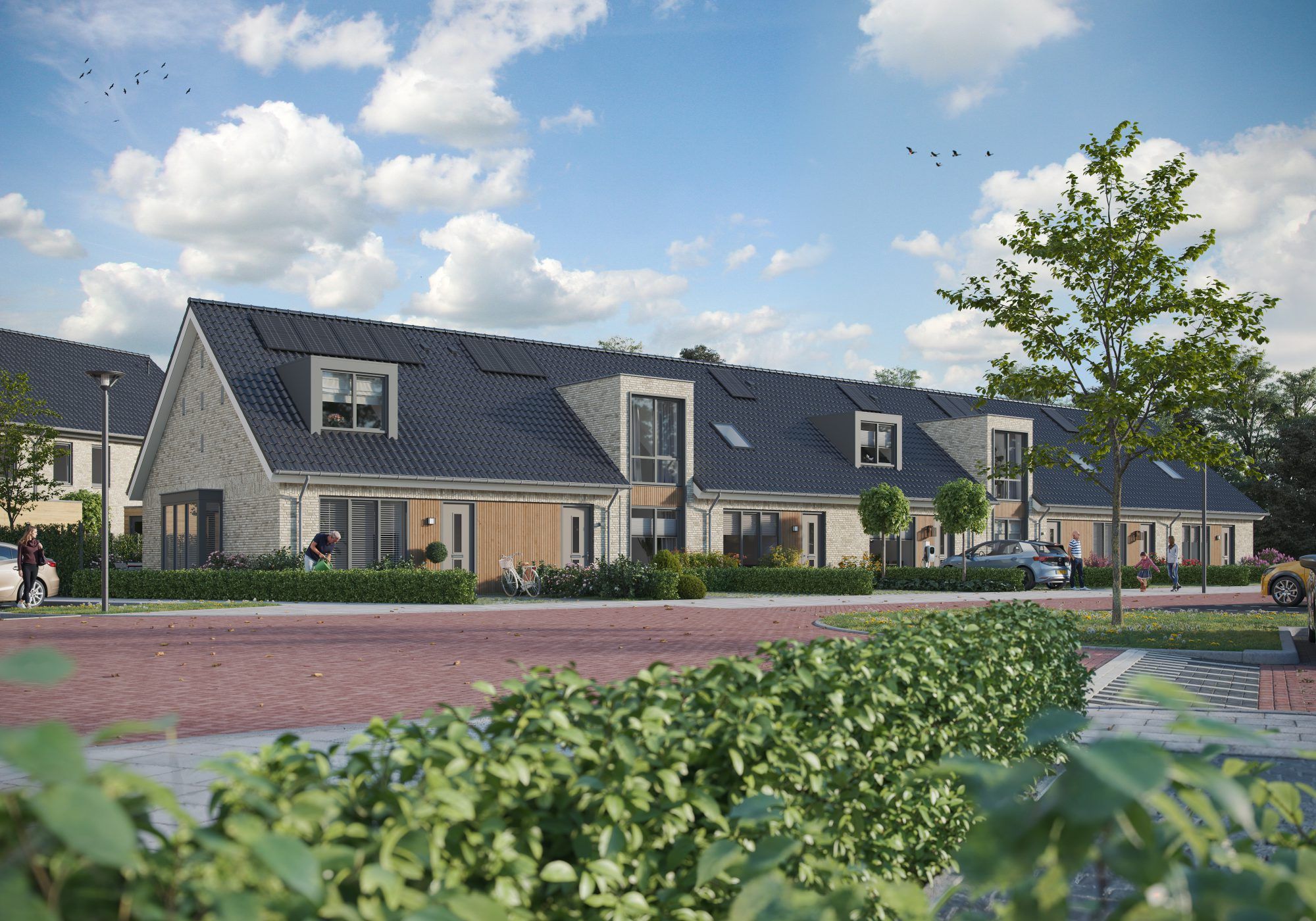 Kleine Vliet, Steenbergen (NB), 4652GL, Noord-Brabant, Nederland  
