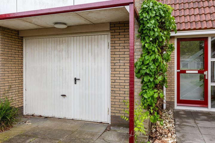 Foto 48 van Swanneblom 8