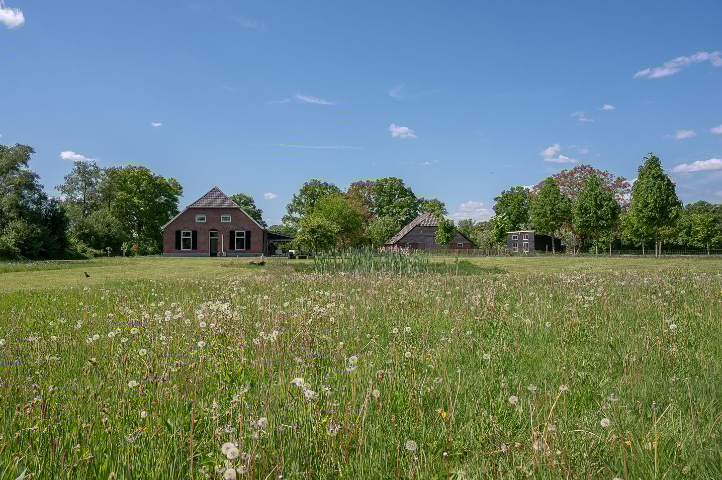 Foto 12 van Zelhemseweg 65