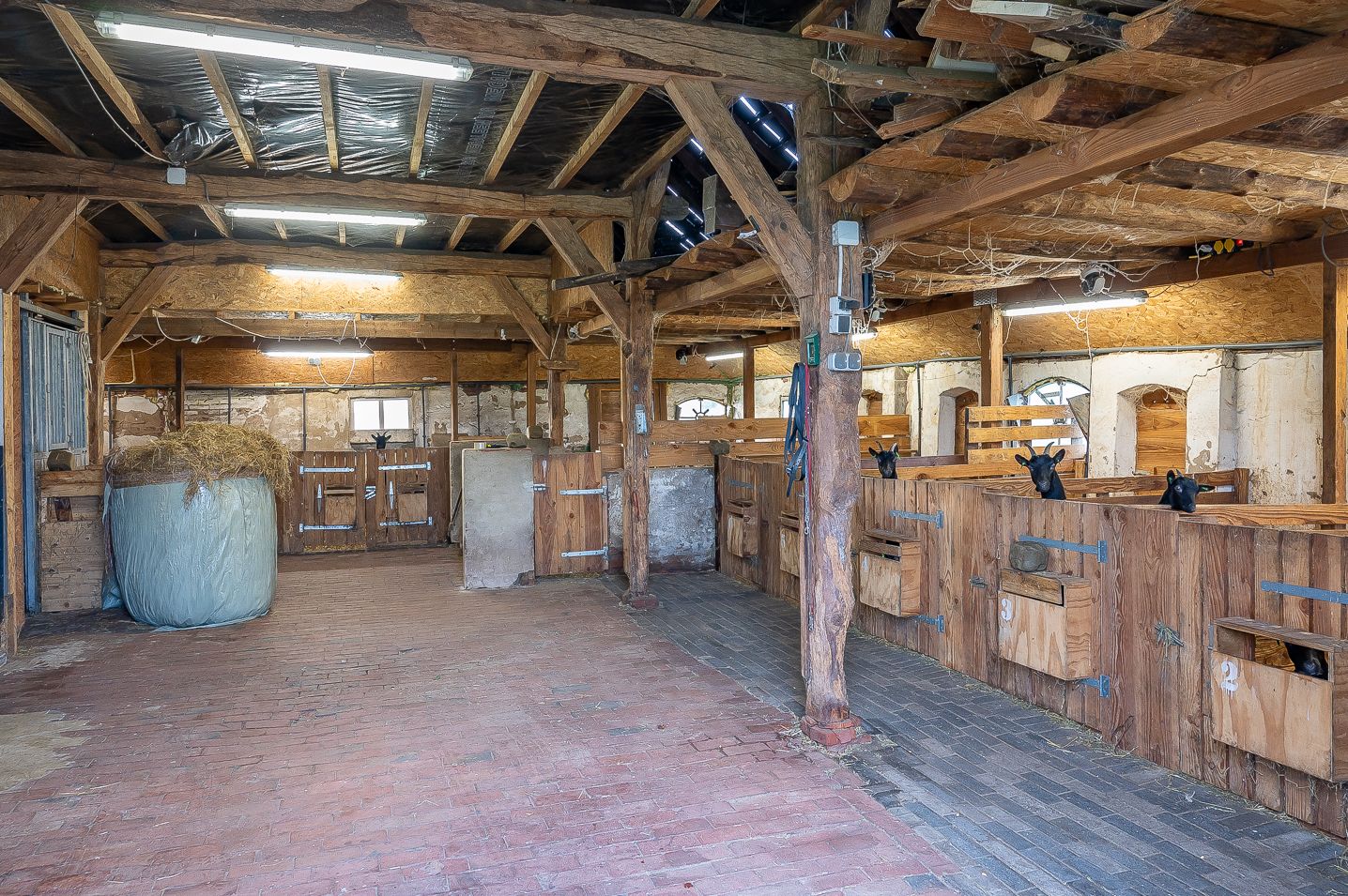 Foto 57 van Zelhemseweg 65