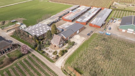 undefined main image