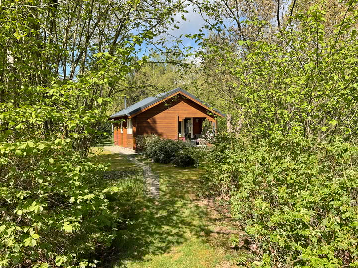 Foto 3 van Harfsense Steeg 15-H43