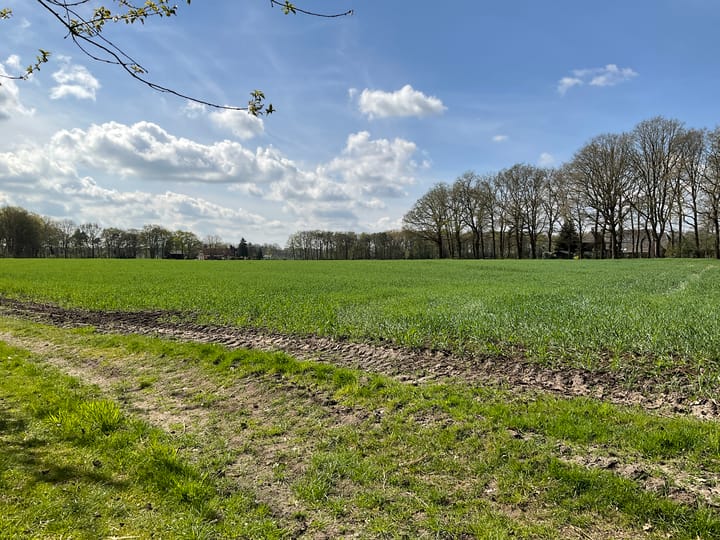 Foto 21 van Harfsense Steeg 15-H43