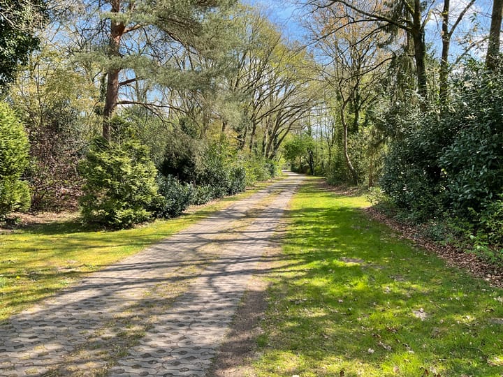 Foto 23 van Harfsense Steeg 15-H43