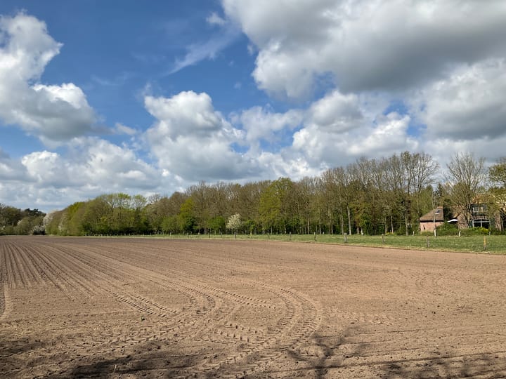 Foto 24 van Harfsense Steeg 15-H43