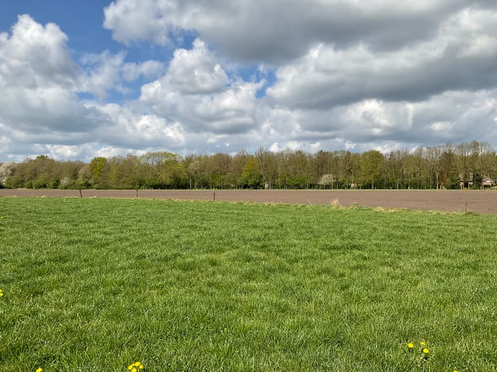 Foto 26 van Harfsense Steeg 15-H43