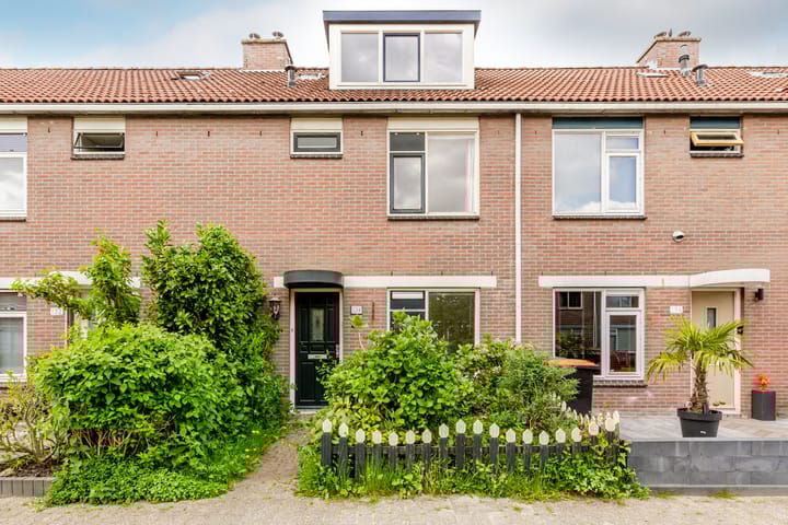 Reiger 133