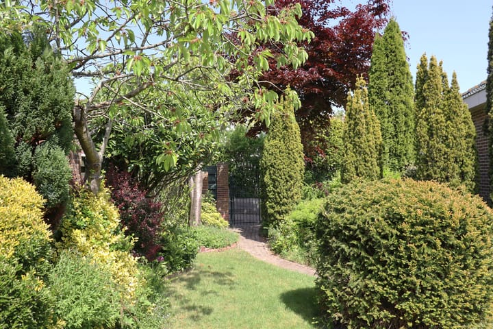 Foto 30 van Irenestraat 58