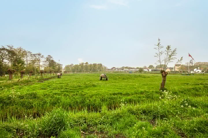 Foto 35 van Irenestraat 58