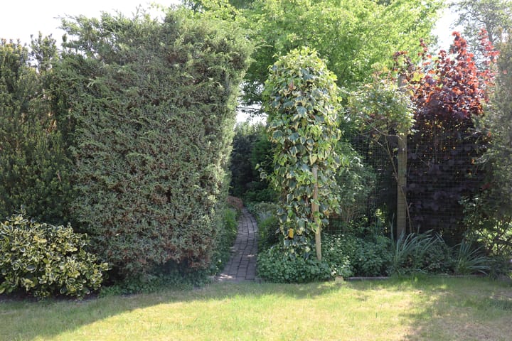 Foto 33 van Irenestraat 58