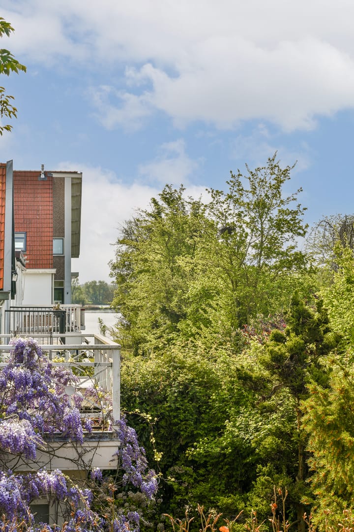 Foto 40 van Bergse Plaslaan 8