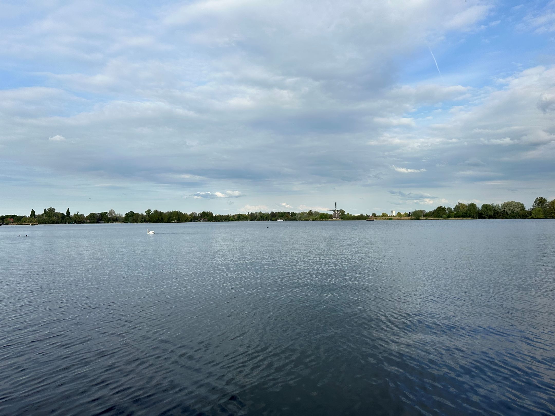 Foto 45 van Bergse Plaslaan 8