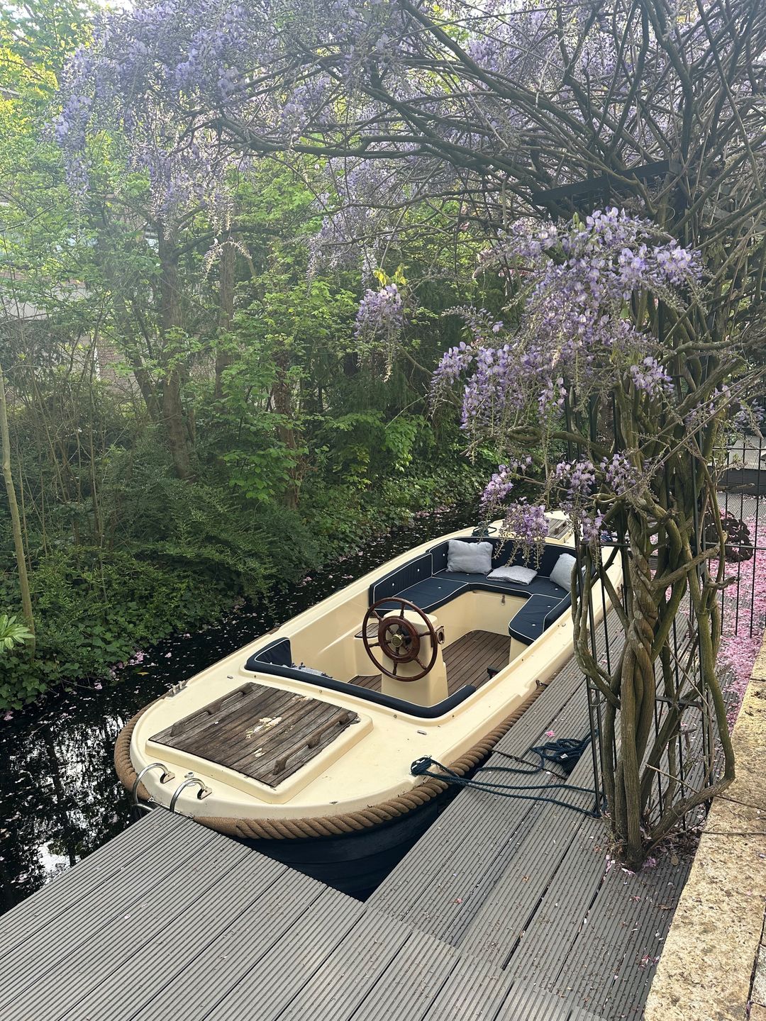 Foto 46 van Bergse Plaslaan 8