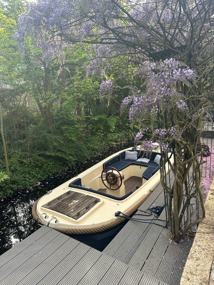 Foto 46 van Bergse Plaslaan 8