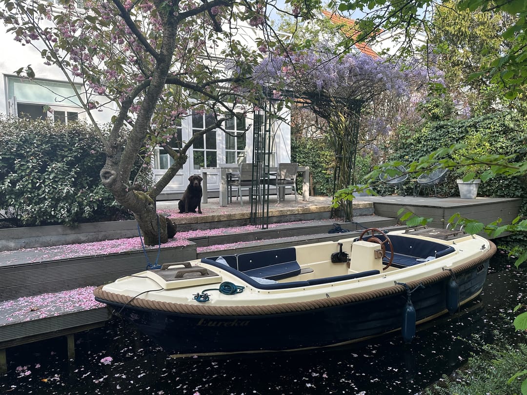 Foto 47 van Bergse Plaslaan 8