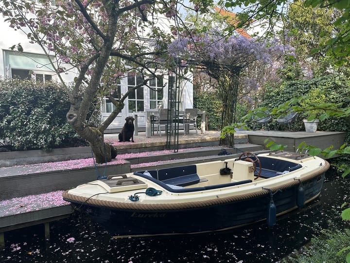 Foto 47 van Bergse Plaslaan 8