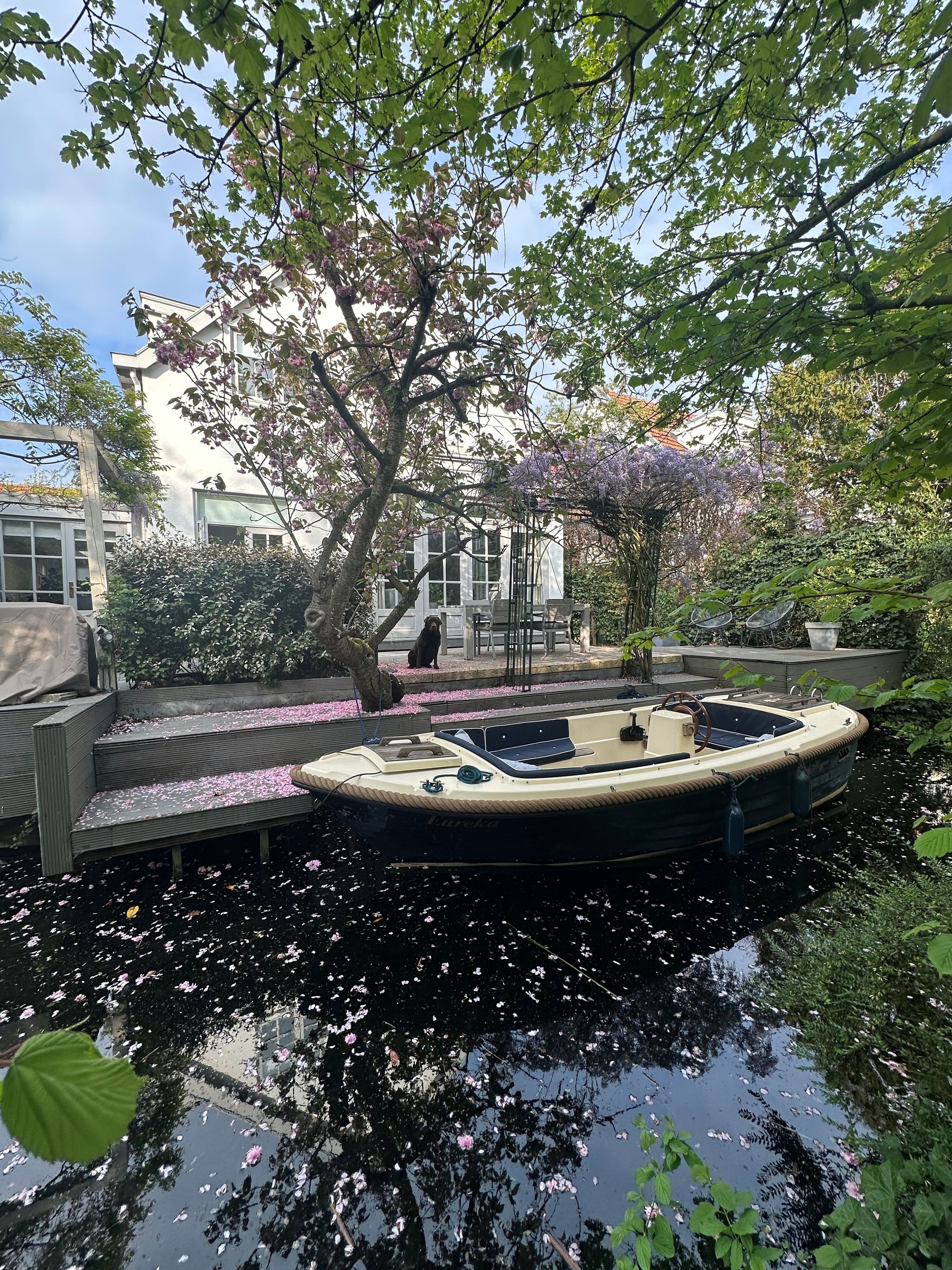 Foto 48 van Bergse Plaslaan 8