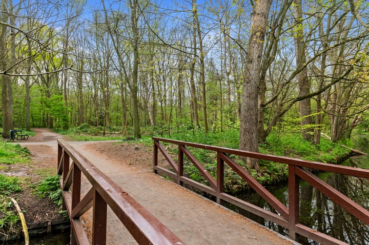 Foto 37 van Lobelialaan 137