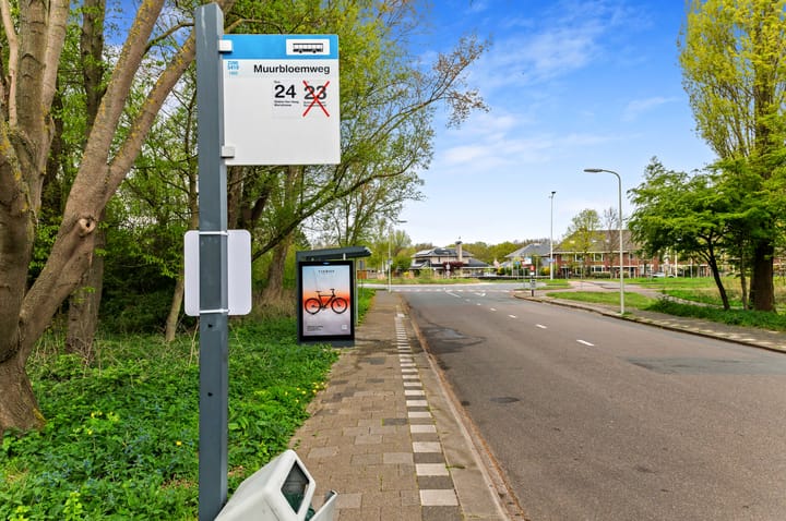 Foto 38 van Lobelialaan 137