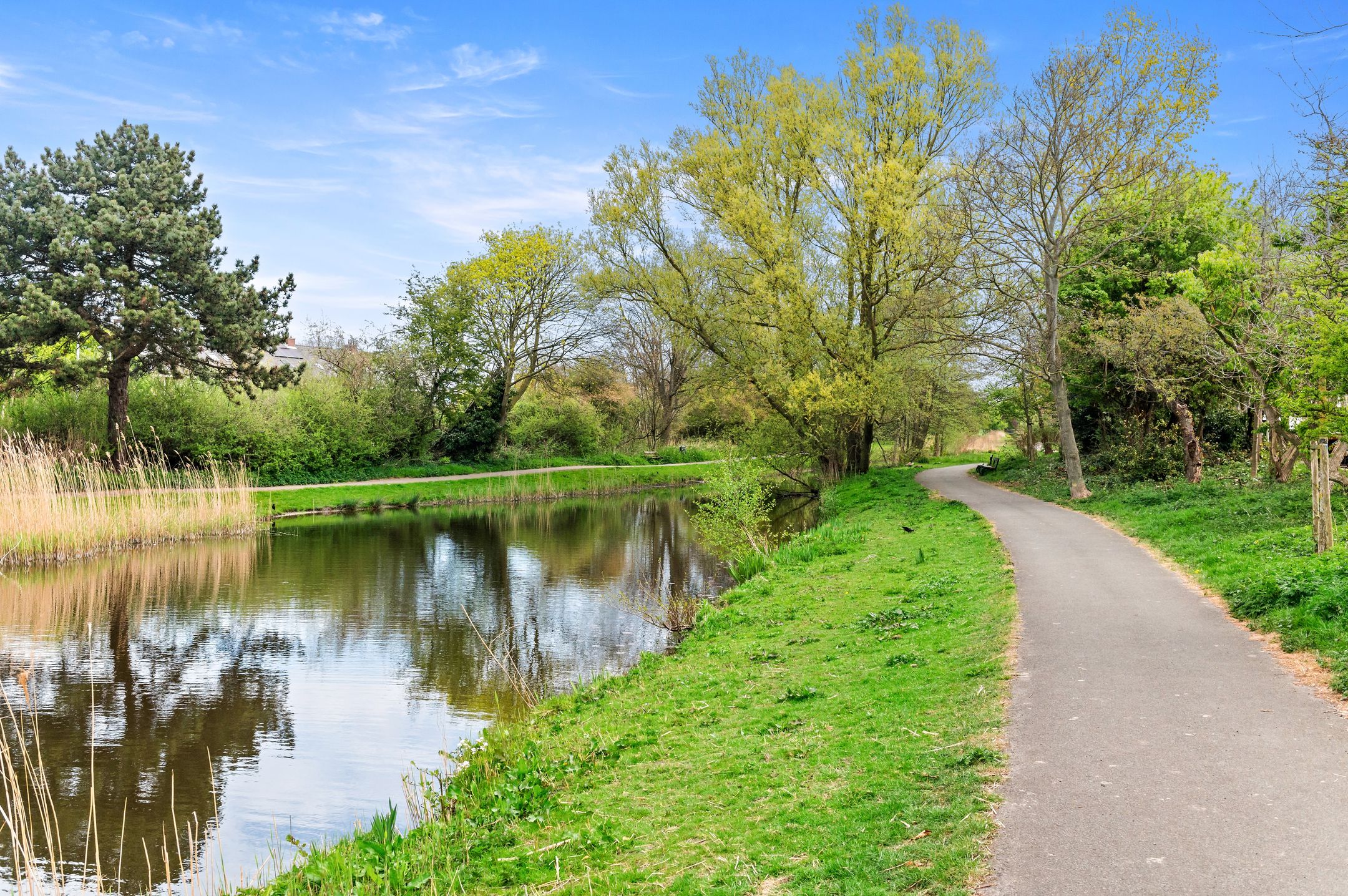 Foto 39 van Lobelialaan 137