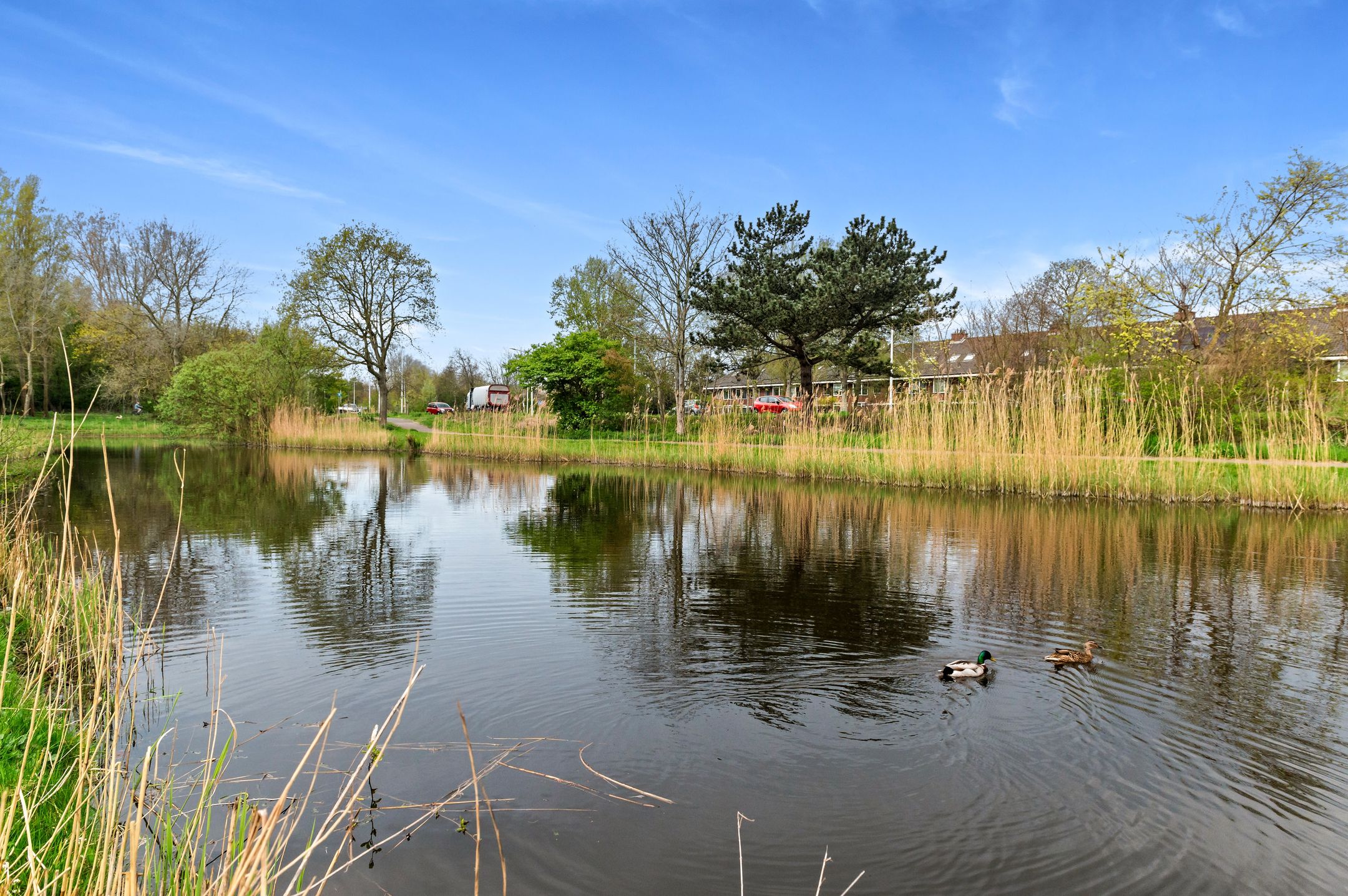 Foto 3 van Lobelialaan 137